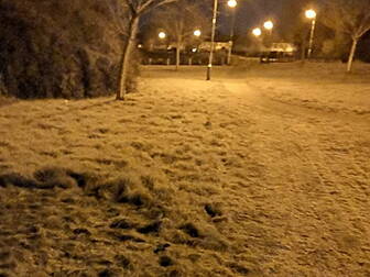 Elderly Man Found Collapsed In...